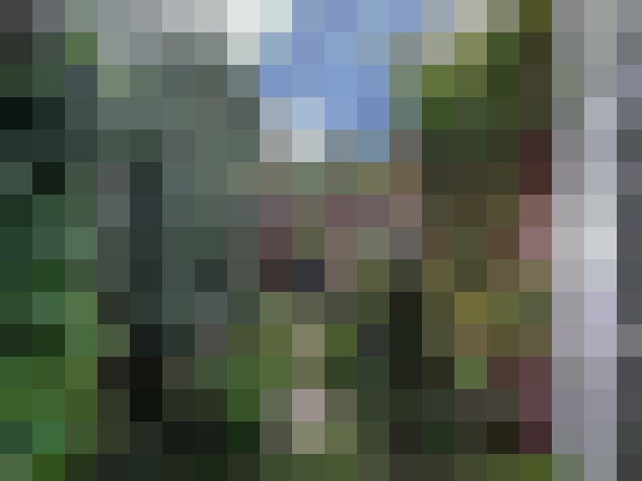 Image 13