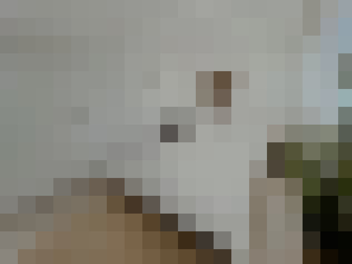 Image 22
