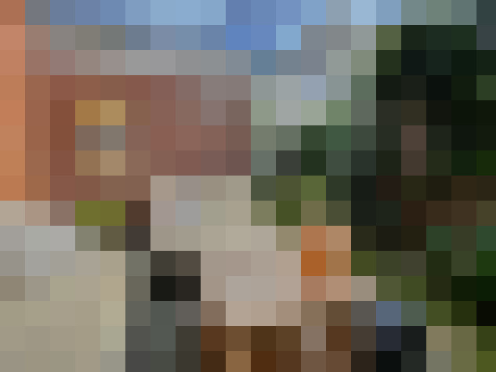 Image 14