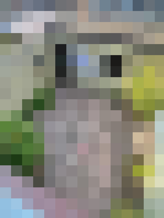 Image 18