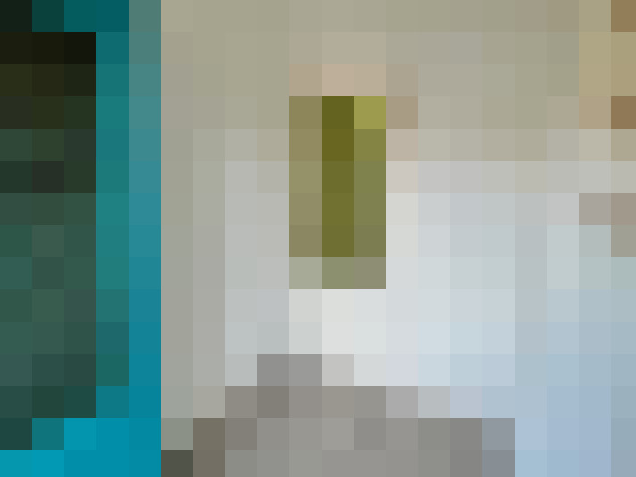 Image 20