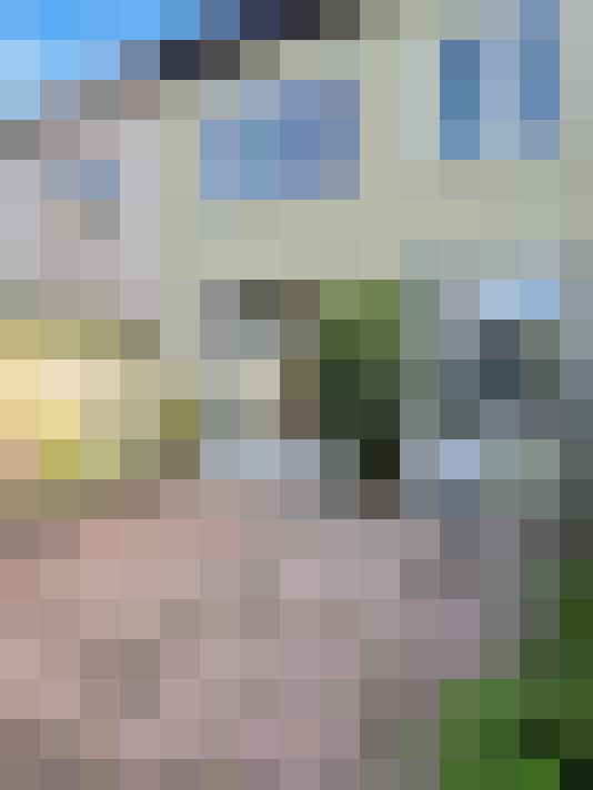 Image 13