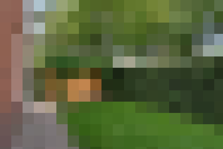 Image 25