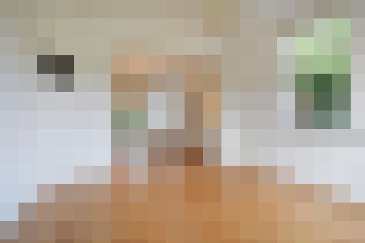 Image 20