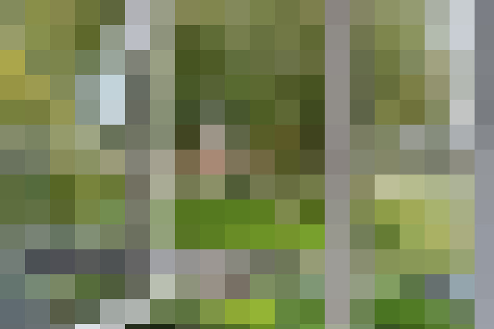 Image 38