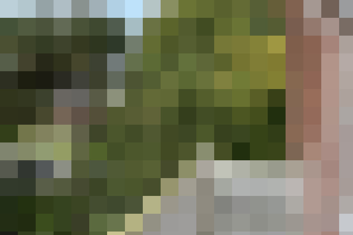 Image 45