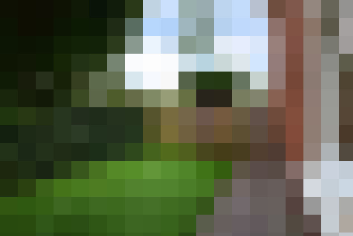 Image 26