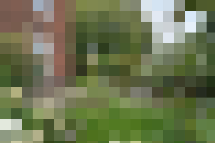 Image 13
