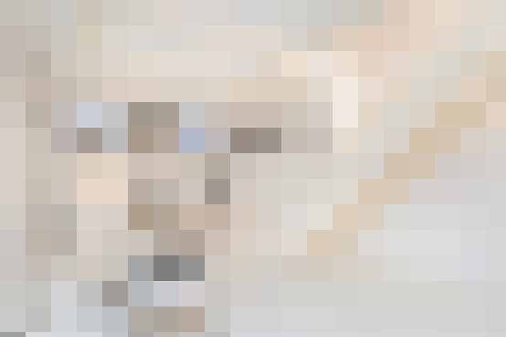 Image 42