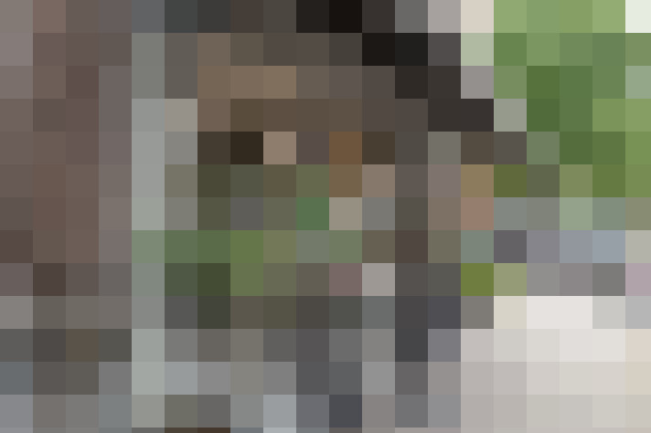 Image 55