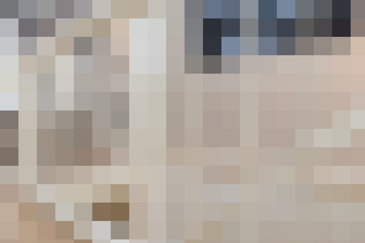Image 40