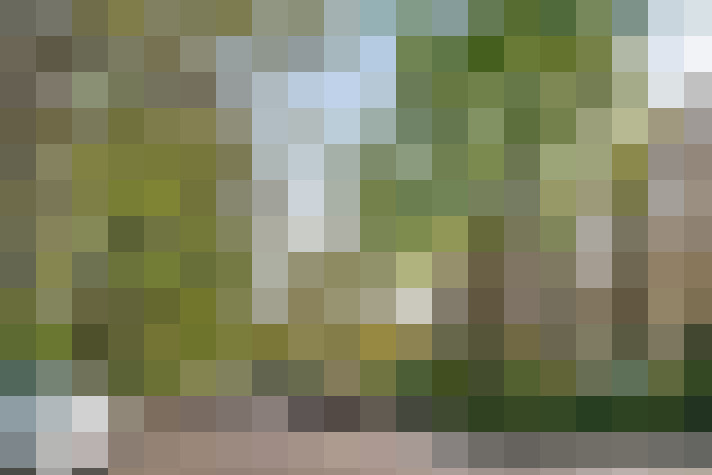 Image 20