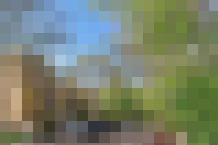 Image 22