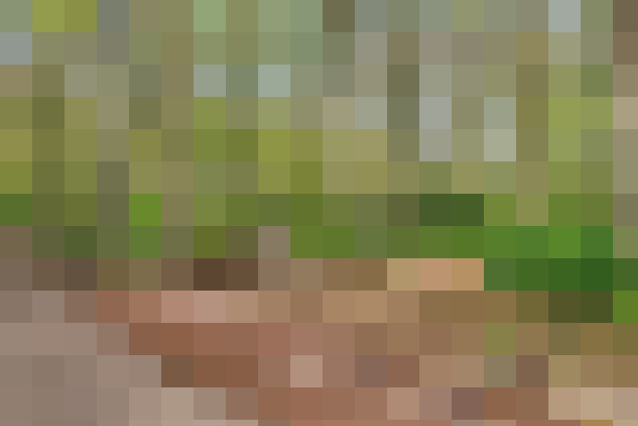Image 24