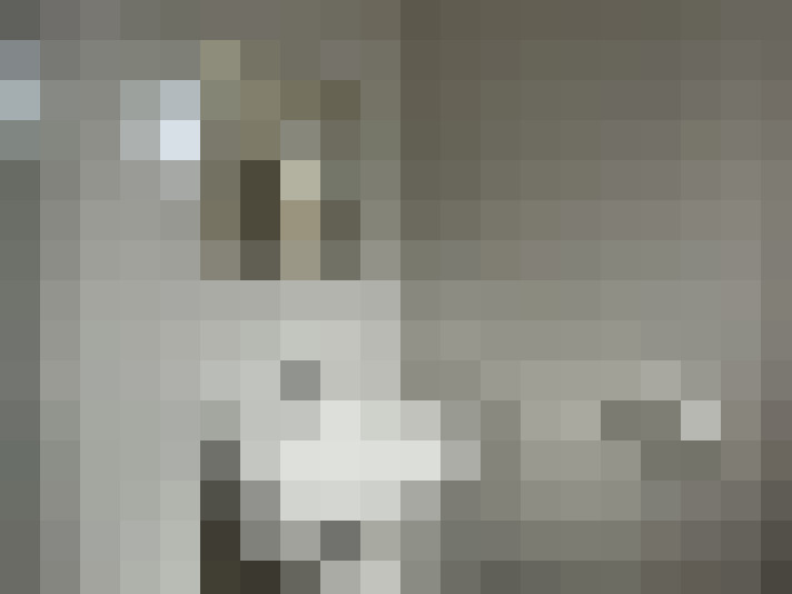 Image 14