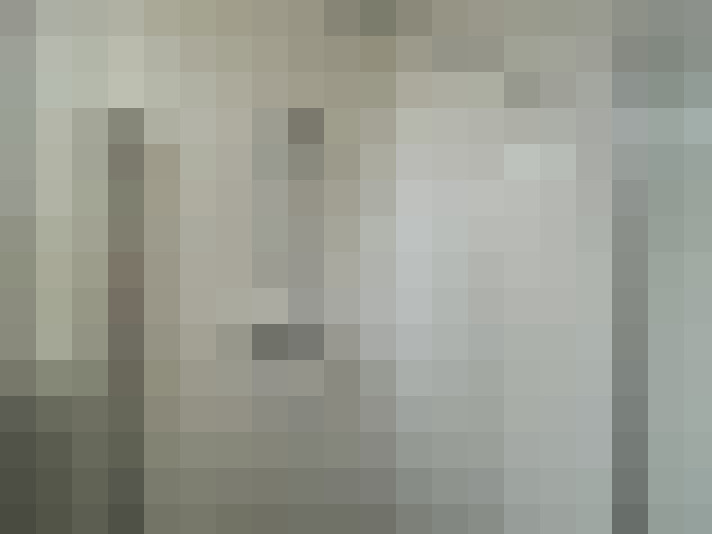 Image 13