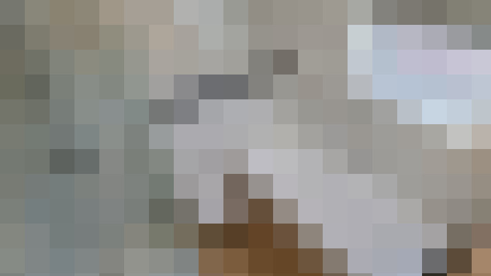 Image 47