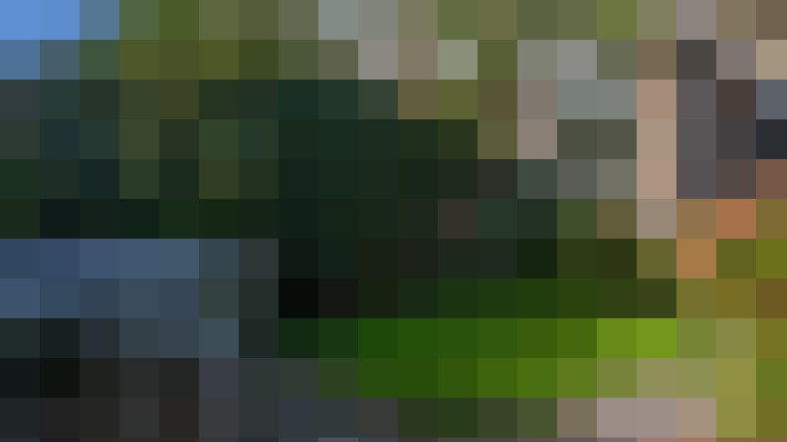 Image 17