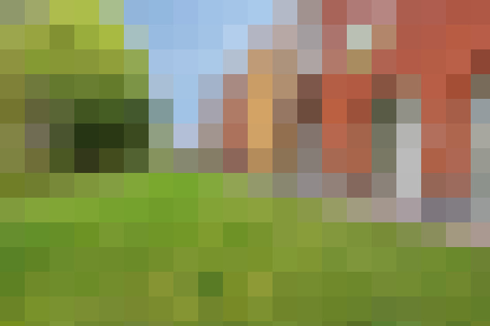 Image 33