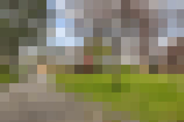 Image 23