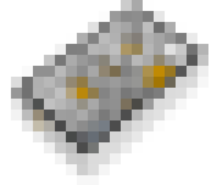 Image 29