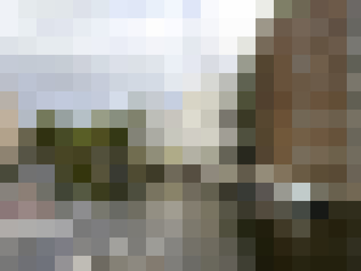Image 23