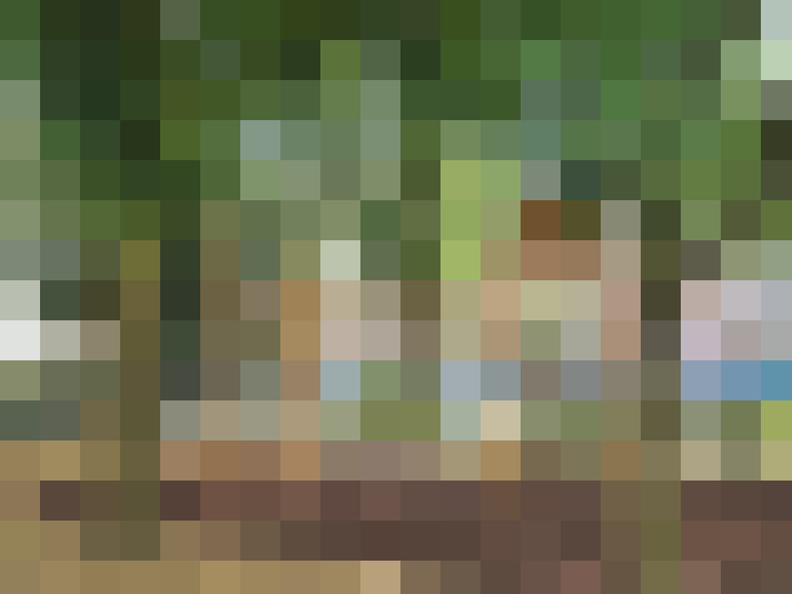Image 22