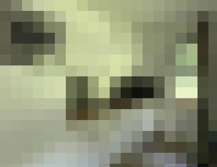 Image 13