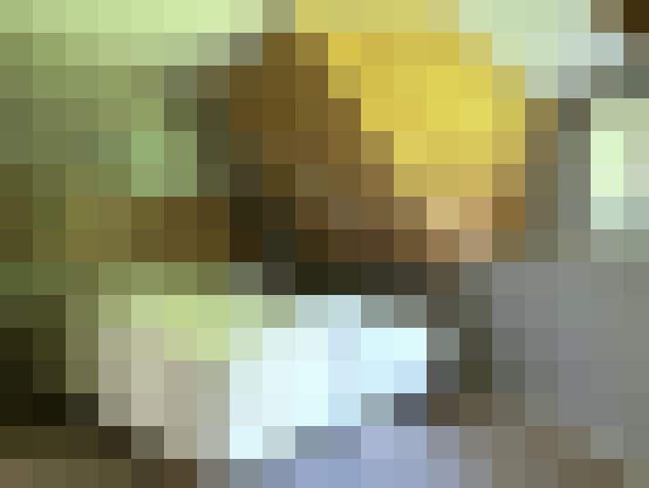 Image 17