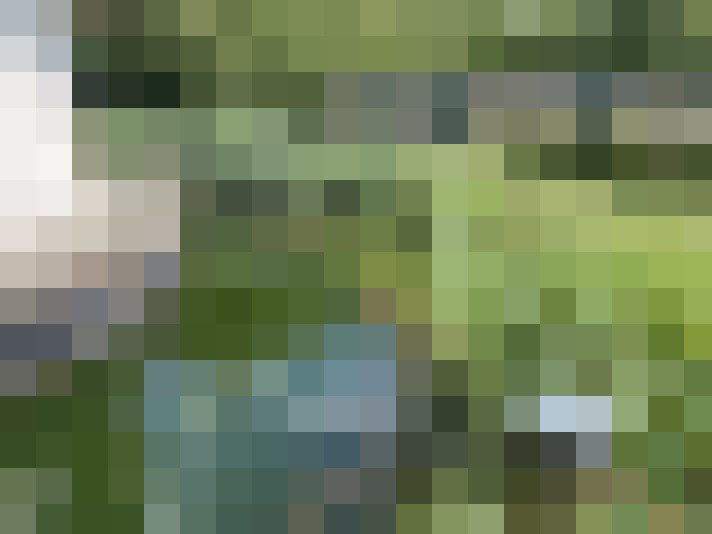 Image 32
