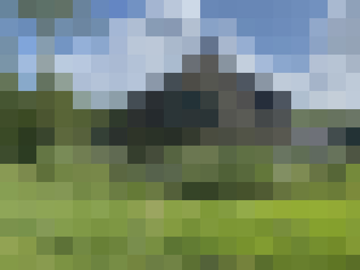 Image 29
