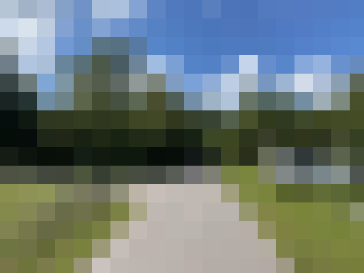 Image 27