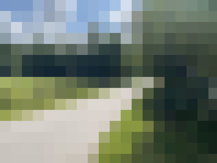Image 28