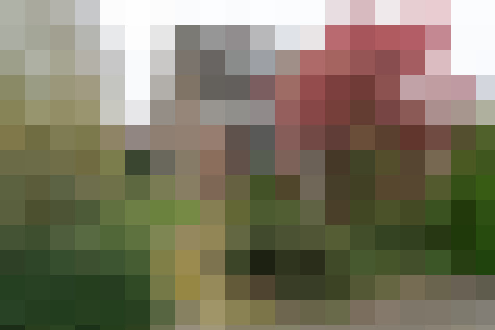 Image 36