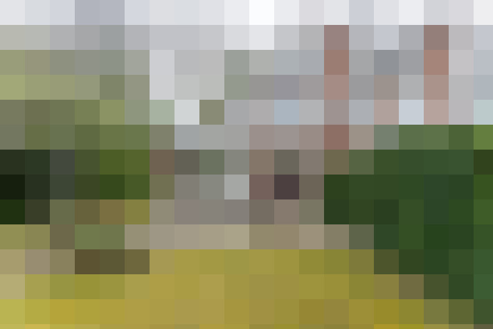 Image 31