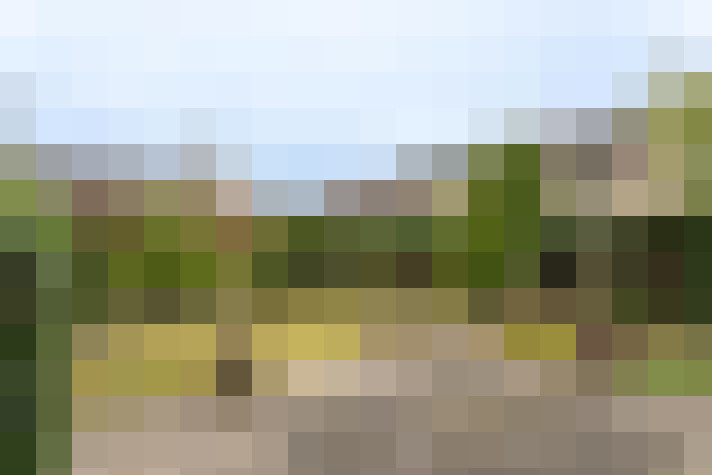 Image 30