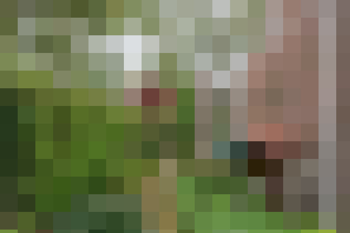 Image 37
