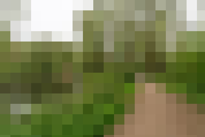 Image 40