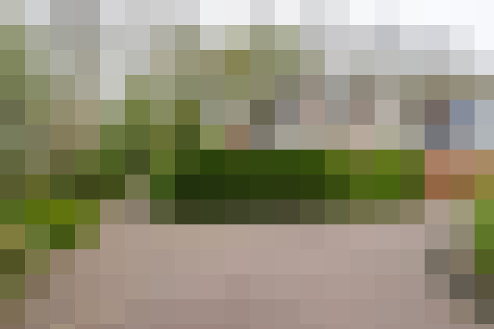 Image 38