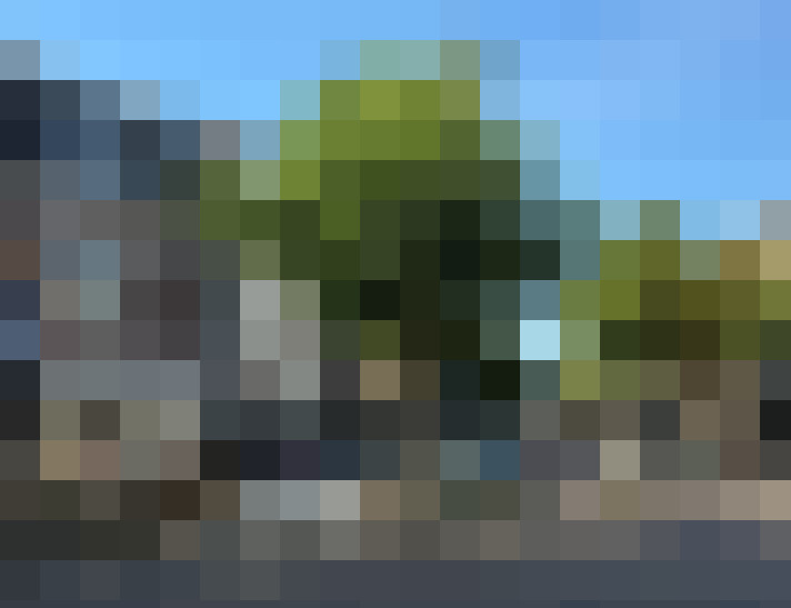 Image 23