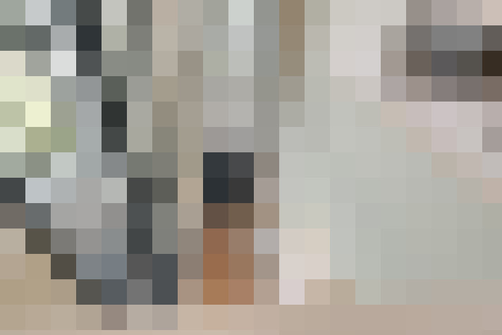Image 29