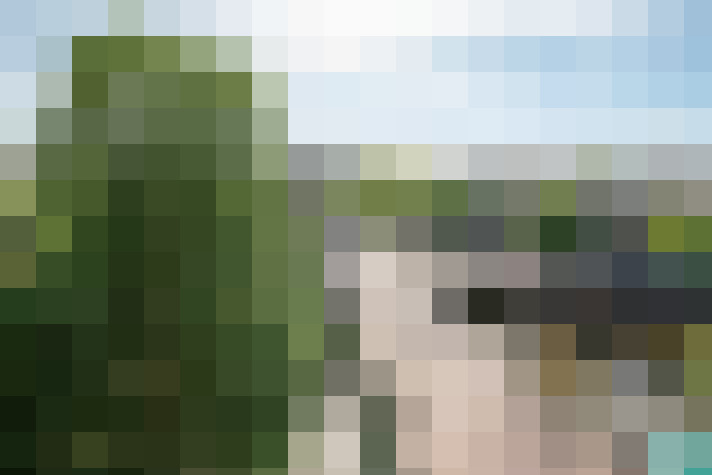 Image 24