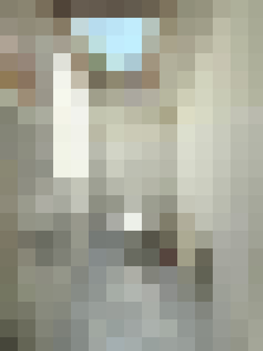 Image 17