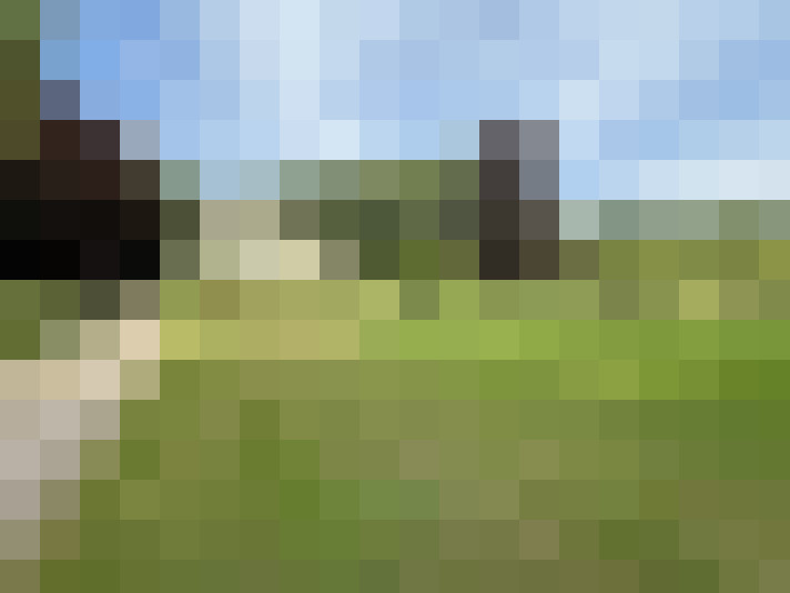 Image 29