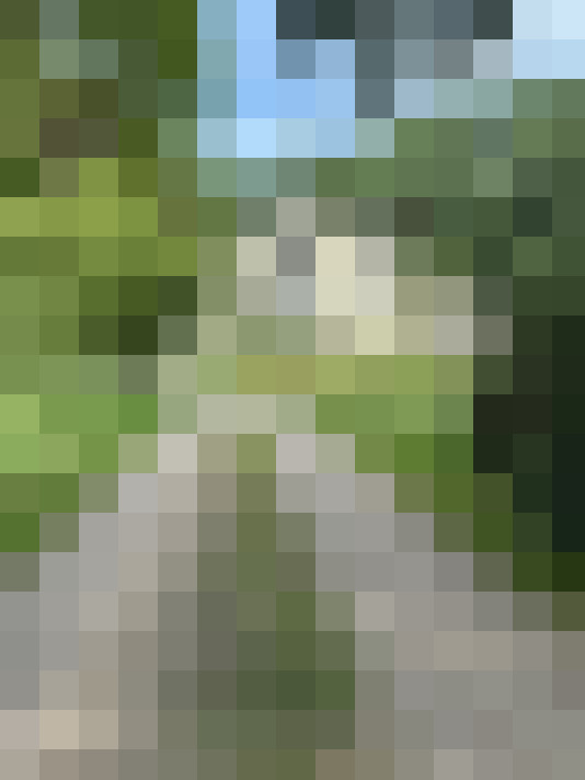 Image 30