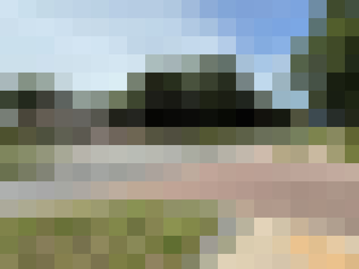 Image 33