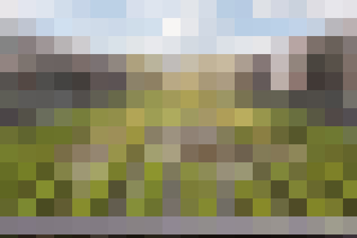Image 28