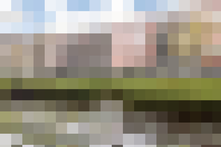 Image 29