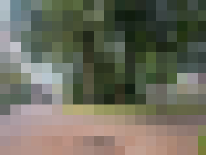 Image 17