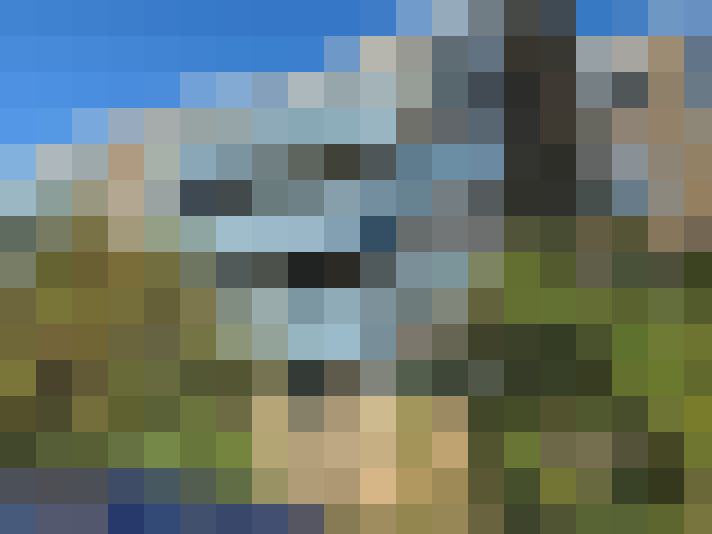 Image 22
